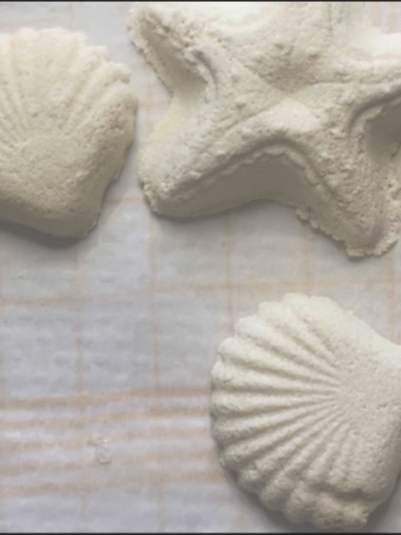 bombas de ducha en forma de conchas marinas y estrella de mar