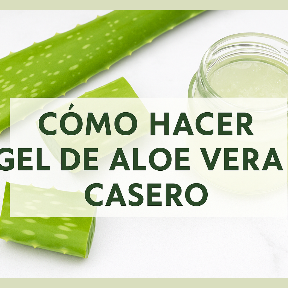 hojas de aloe con cartel de hacer gel de aloe vera casero