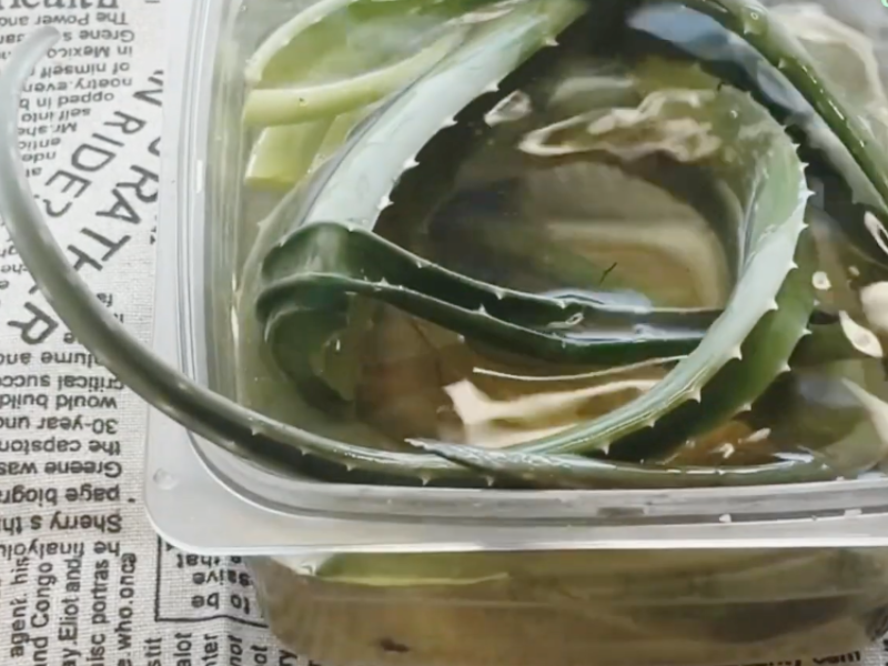 Diseno sin titulo 41