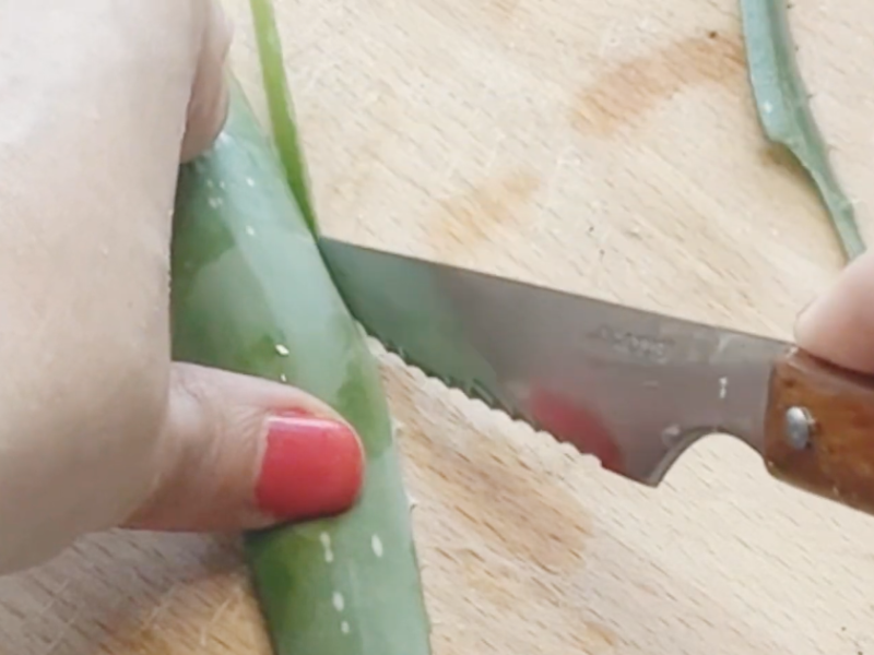 Diseno sin titulo 44