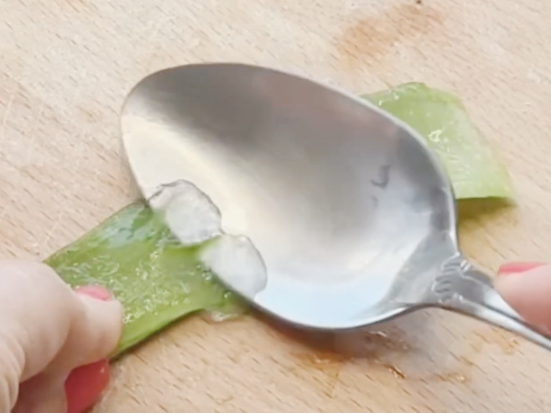 Diseno sin titulo 45