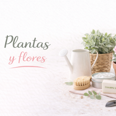 plantas y flores